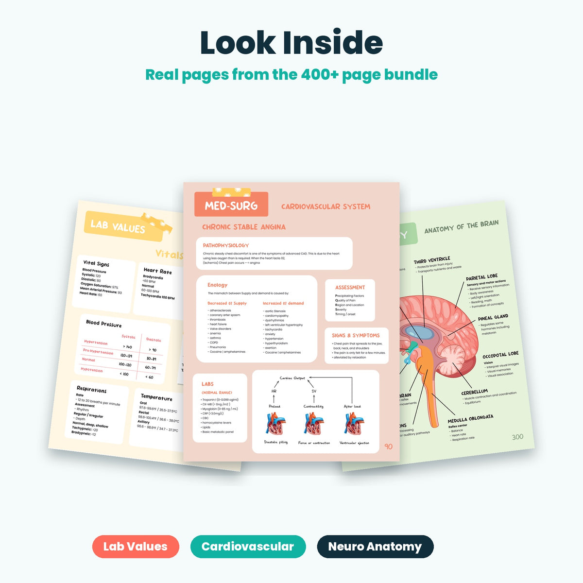 Look inside - real pages from the 400+ page nursing bundle