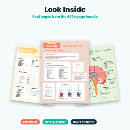Look inside - real pages from the 400+ page nursing bundle